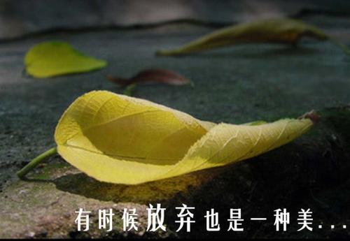这也是一种美丽