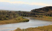 流向远方的小溪