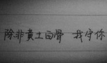 一句让我触动的话