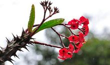 笑对挫折，正视痛苦