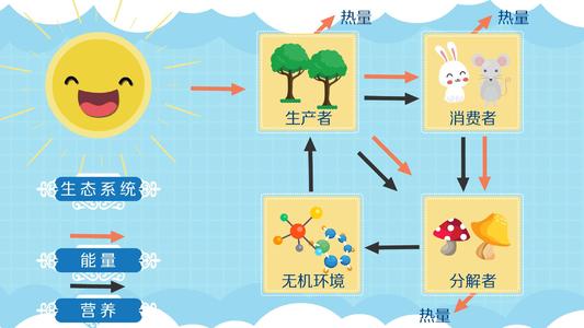 生活是一个圆圈