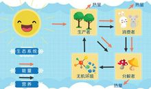 生活就是一个圈