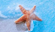 做真实的自己就好