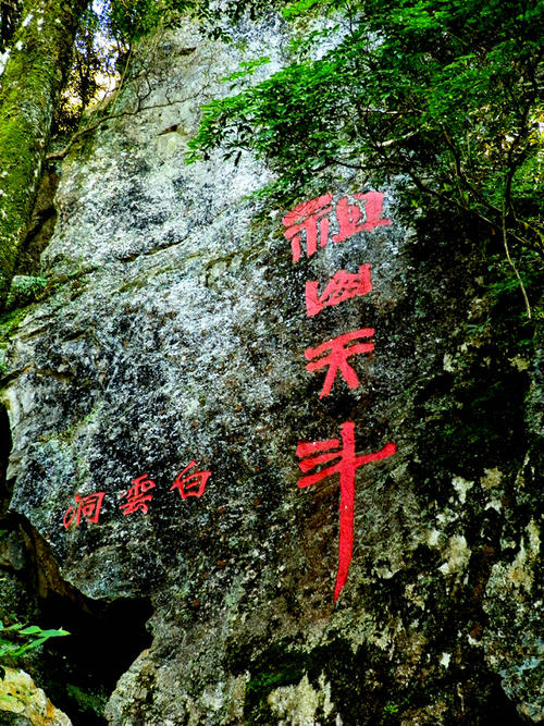 留下一点想法