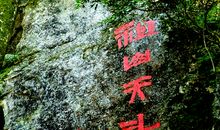 给生命留下一点念想