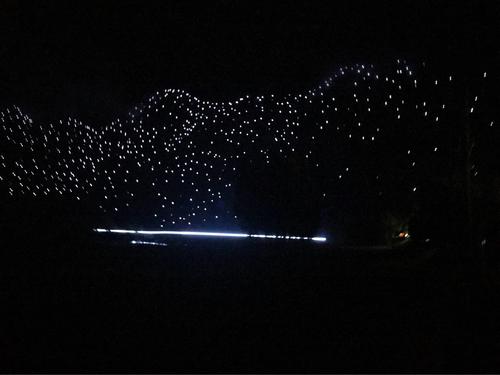 没有明星