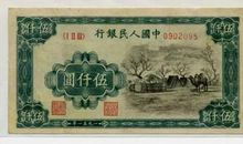 不可或缺的心灵绿洲