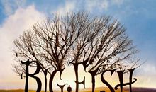 收获另一份感动