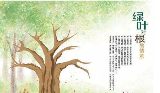 生叶生根情感