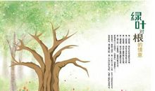 绿叶结根的情意