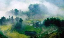 寻梦，向红楼深处漫溯