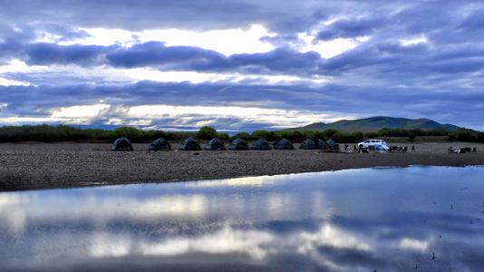 光阴正在去除洋葱