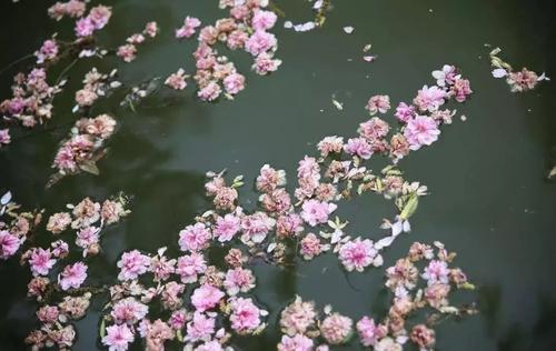 不要堕落