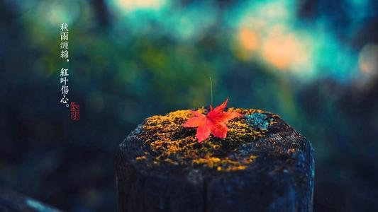 秋雨记忆
