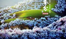 遇见美丽的四季