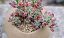 最温暖的那一抹阳光