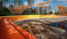 阳光下舞动的绿