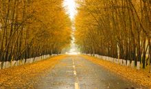 留下理想在心中