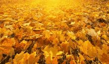 我们都是一道风景