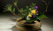 追求一种诗意的生活