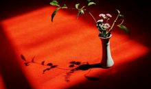 智慧让人生精彩