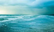 我可以陪你去看大海