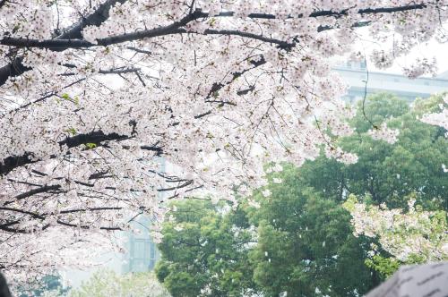 最令人难忘的事情是下雨