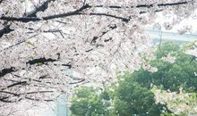 最难忘的是那场雨