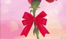 母亲永远美丽着