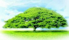 文学滋养我渐渐成熟