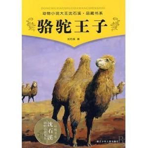 15岁，我们应该是一群骆驼