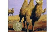 十五岁，我们应该做一只骆驼