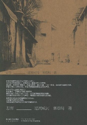 十七岁的悲伤
