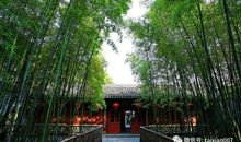 想念那一片翠竹