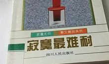 寂寞无价