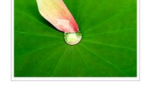 爱在晶莹泪光中