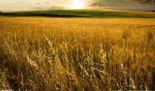 那个秋天，夕阳下的风景