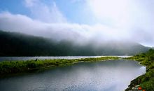 在深云中，在松涛下——读《空谷幽兰》有感