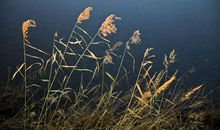 美在山东，美在身边