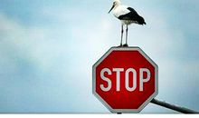 按下人生的减速键