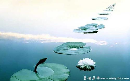 生活就像一个梦想