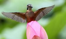 敞开心扉面对未来