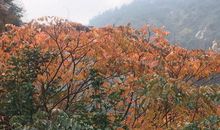 一次难忘的爬山