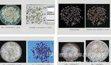 重外表还是重品质