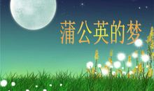 有梦想的蒲公英