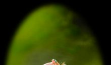 在静谧中感悟忧伤