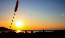 梦到的那个地方