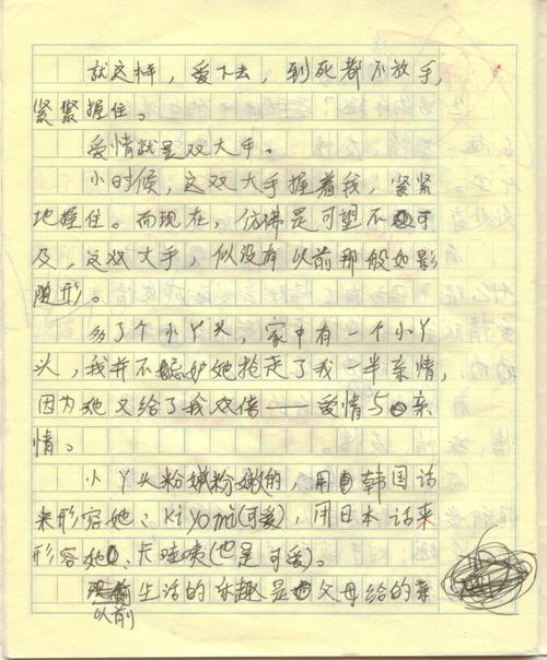 符合您自己的组合的另一副本500字
