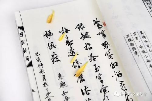 唐诗诗让我陶醉了