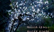 苦难——造就人生